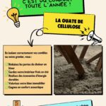 Article ouate de cellulose