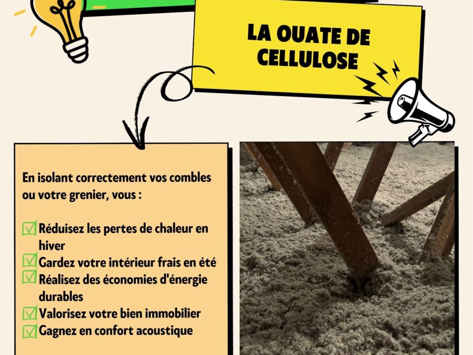 Article ouate de cellulose